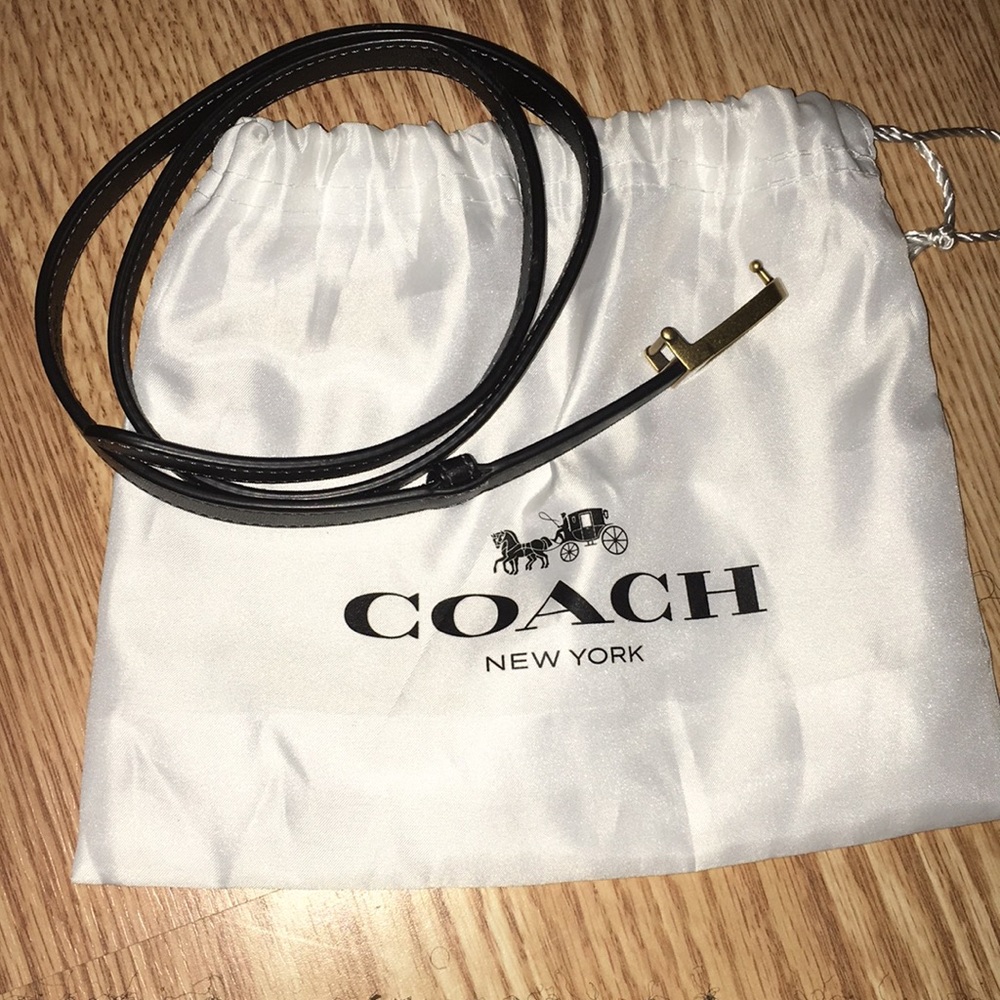 Coach belt